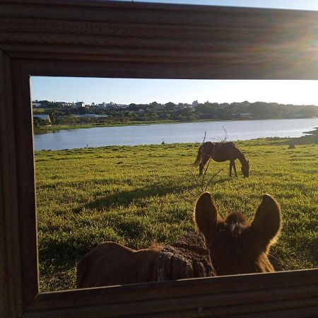 Hostel Santuario De Protecao Animal Filhos De Salomao Bragança Paulista Exteriör bild