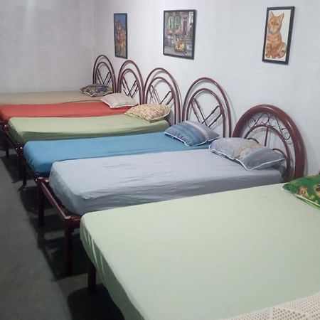 Hostel Santuario De Protecao Animal Filhos De Salomao Bragança Paulista Exteriör bild