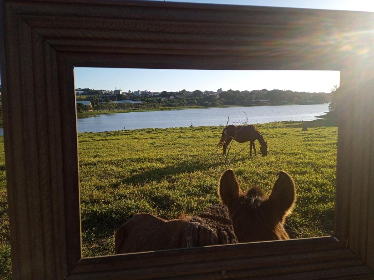 Hostel Santuario De Protecao Animal Filhos De Salomao Bragança Paulista Exteriör bild