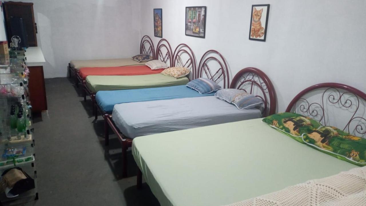 Hostel Santuario De Protecao Animal Filhos De Salomao Bragança Paulista Exteriör bild