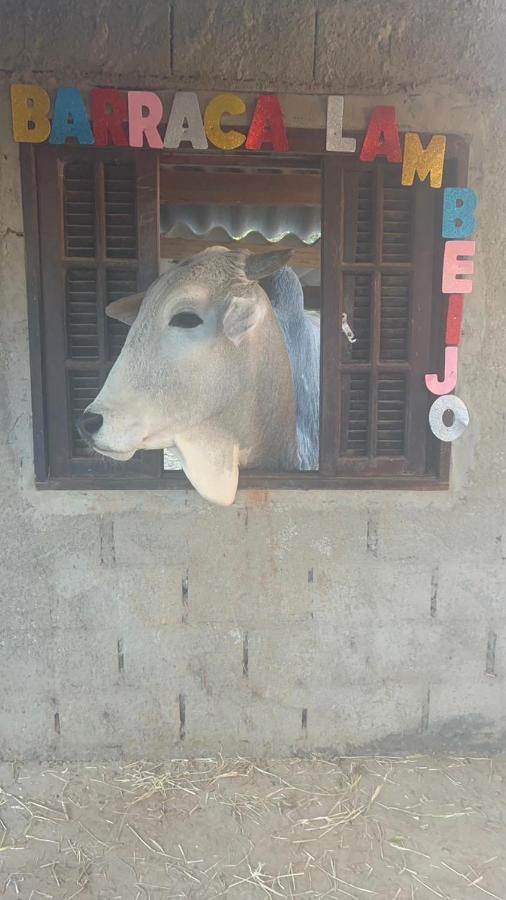Hostel Santuario De Protecao Animal Filhos De Salomao Bragança Paulista Exteriör bild