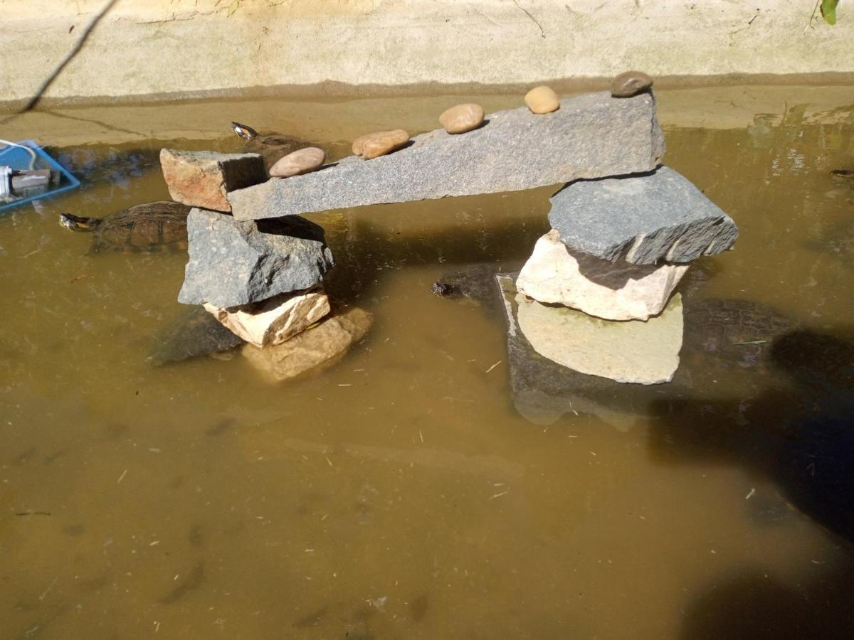 Hostel Santuario De Protecao Animal Filhos De Salomao Bragança Paulista Exteriör bild