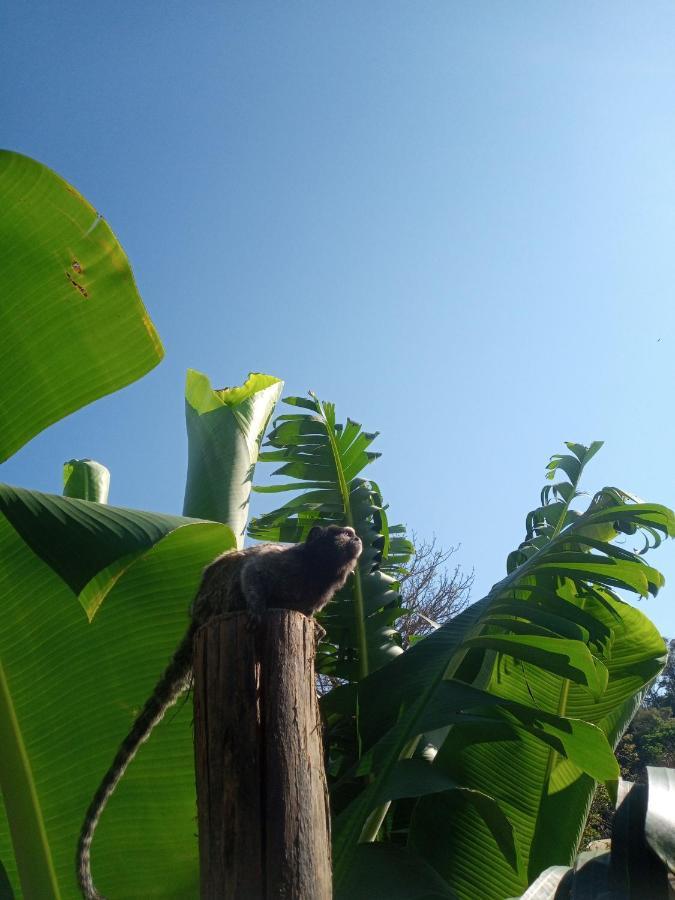 Hostel Santuario De Protecao Animal Filhos De Salomao Bragança Paulista Exteriör bild